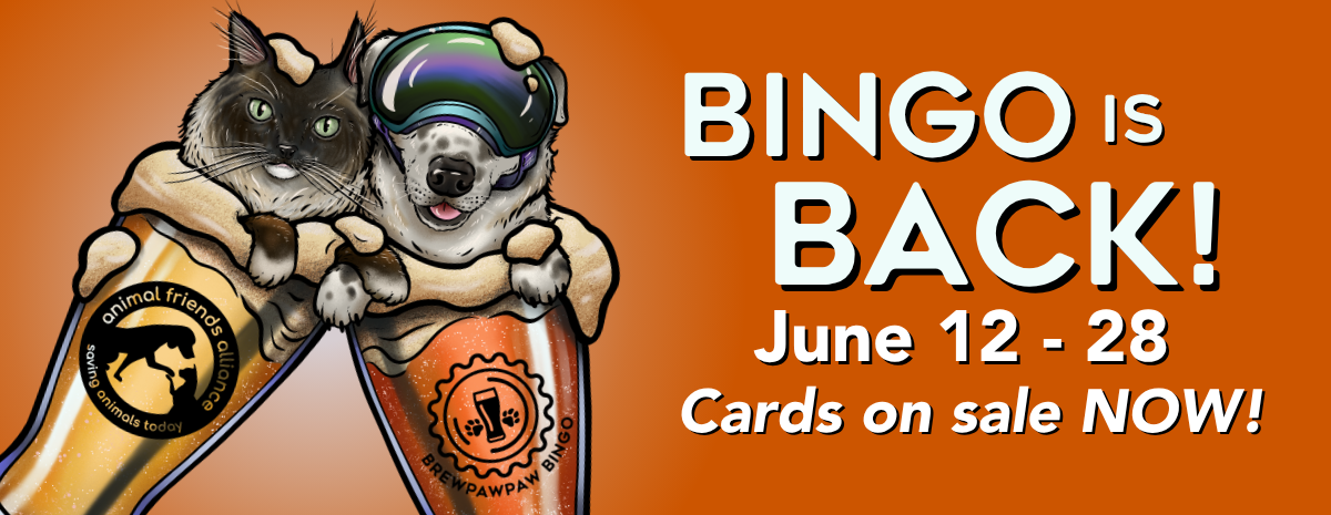 BrewPawPaw Bingo 2026